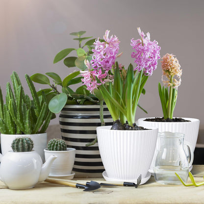 MUXINCAMP 7 Inch Large Plant Pots, 6 Pack Flower Pots with Drainage Hole and Tray Saucer Plastic Plant Pot for Outdoor Indoor House Plants and Flowers Herbs (White)