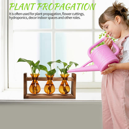 Plant Propagation Station Plant Terrarium Unique Birthday Gifts for Women Home Office Decor Planter with Wooden Stand - 3 Bulb Glass Vase
