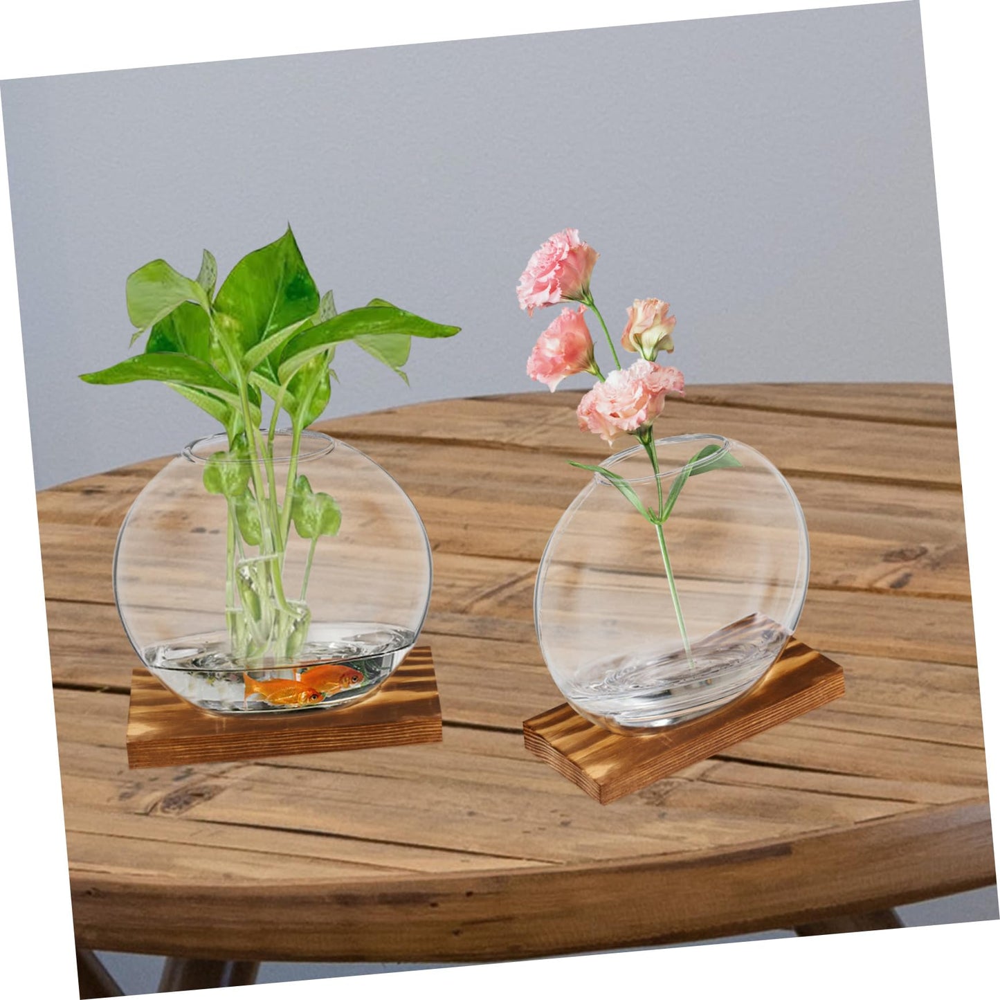 Kisangel 2Sets Clear Glass Planters for Indoor Plants with Base Artistic Propagation Terrariums for Home Office and Exhibition Decor Stylish Hydroponic Vases