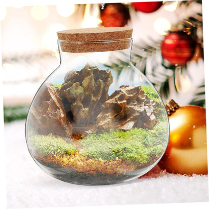 HYTROVE Terrarium Plant Decor Holder Glass Jar Moss Plant Bottle Micro Landscape Planter Bottle DIY Cork Glass Eco for Home Decor