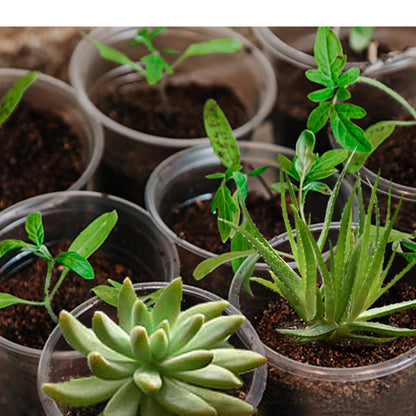 OUPSAUI 20 Pack 7 Inch Clear Nursery Pots for Plants, Clear Plant Pots with Drainage Holes, Flexible Plastic Nursery Pots Variety Pack, Seedling Planter Seed Starter Pots(7 INCH)