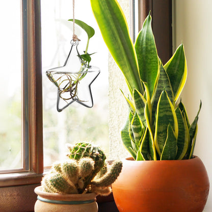 Housoutil Hanging Glass Vase Hydroponic Glass Terrarium Marine-Inspired Shape for Indoor Plants Home Décor