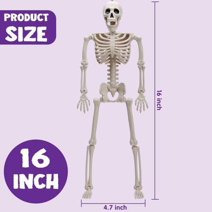 JOYIN 10 PCS 16" Halloween Skeleton Decor, Full Body Stayable Movable Joints, Posable Hanging Skeletons for Halloween Decoration, Yard, Graveyard, Haunted House Props, Spooky Scene Party Favor