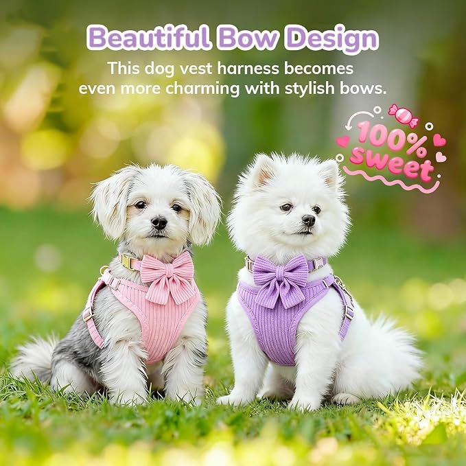 Small Dog Collar Harness and Leash Set with Bowtie, Adjustable Dog Harness Collar and Leash Set with Secure Metal Buckle, Breathable Cotton Adjustable Pet Puppy Harness, Easy Walk Harness, M(16-21")