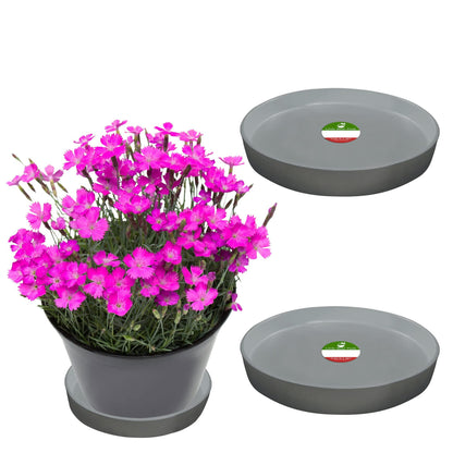Little Bear Peak Round Composite Plant Saucer/Tray (2-Pack) | 60% Recycled Plastics & 40% Stone/Wood Powder | Heavy-Duty Water Catcher | Indoor & Outdoor use | Recycle at End of Life | Water Flowers