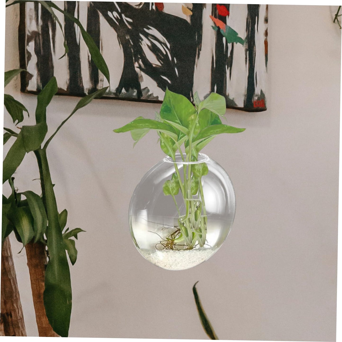 Ciieeo Glass Terrarium Wall-Mounted Hydroponic Vase Space-Saving Plant Holder Elegant Wall Decor Easy Care Plants
