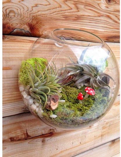 Ecosides Set of 3 Wall Hanging Planter Wall Hanging Bubble Glass Terrarium Wall Mount Vase for Indoor Planter Air Plant Glass Terrarium Flower Vase Wall Bowl(Oblique Opening)