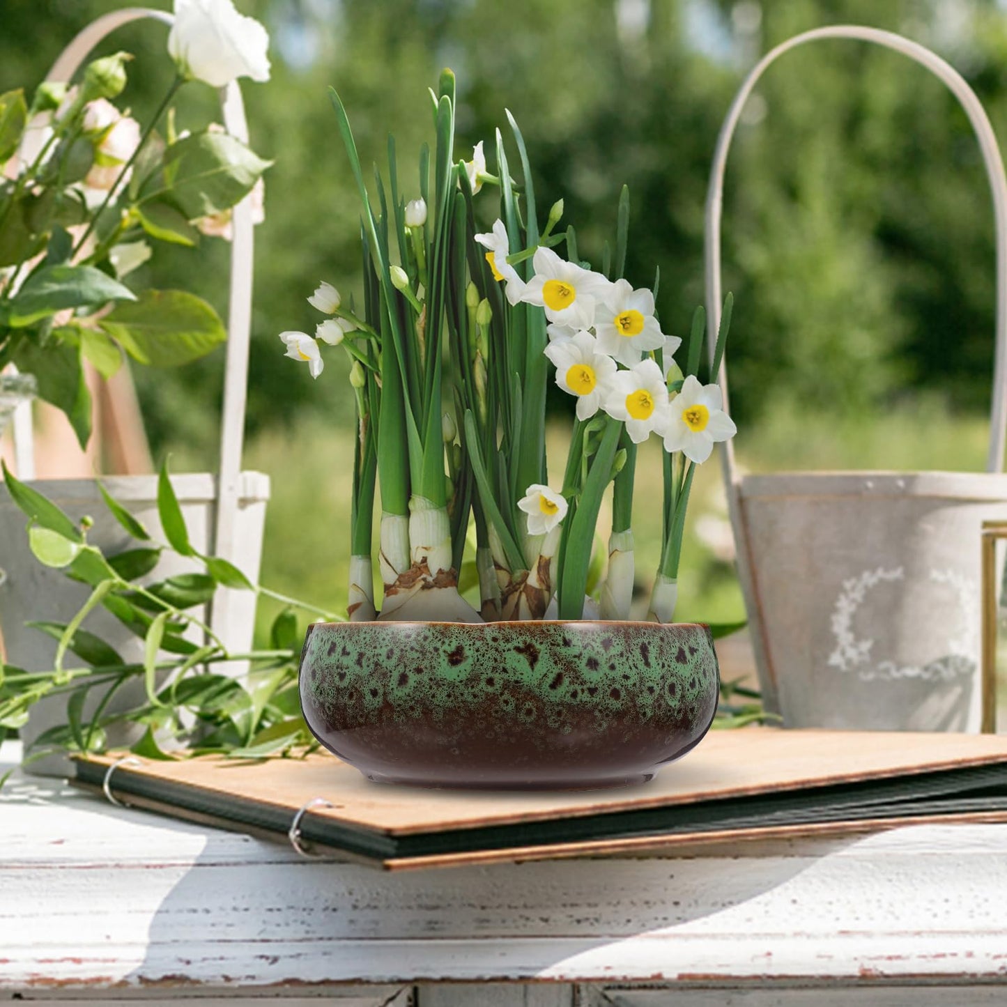 Happyyami Hydroponic Water Planter Pot Ceramic Succulent Bonsai Pot Water Lily Narcissus Planting Bowl Flowerpot Container Garden Decoration ( Style b )
