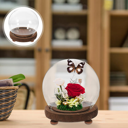FESTFENDS Glass Cloche Dome Wooden Base Display Case for Preserved Flower and Succulent Craft Decoration