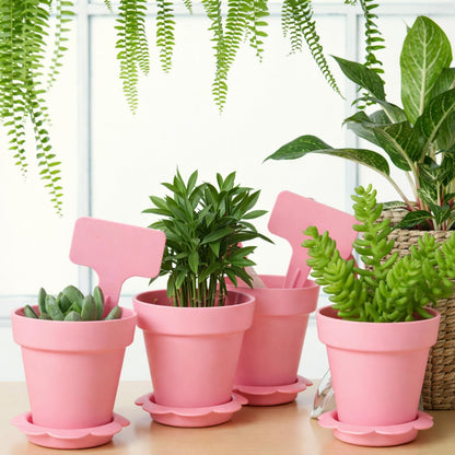 LOYIM 36 Packs Cupcake Plant Nursery Pots with Humidity Dome Small Flower Pots Plastic Planting Containers Cups with Saucers and Shovel for Indoor Outdoor Plant Succulent Display (Pink)