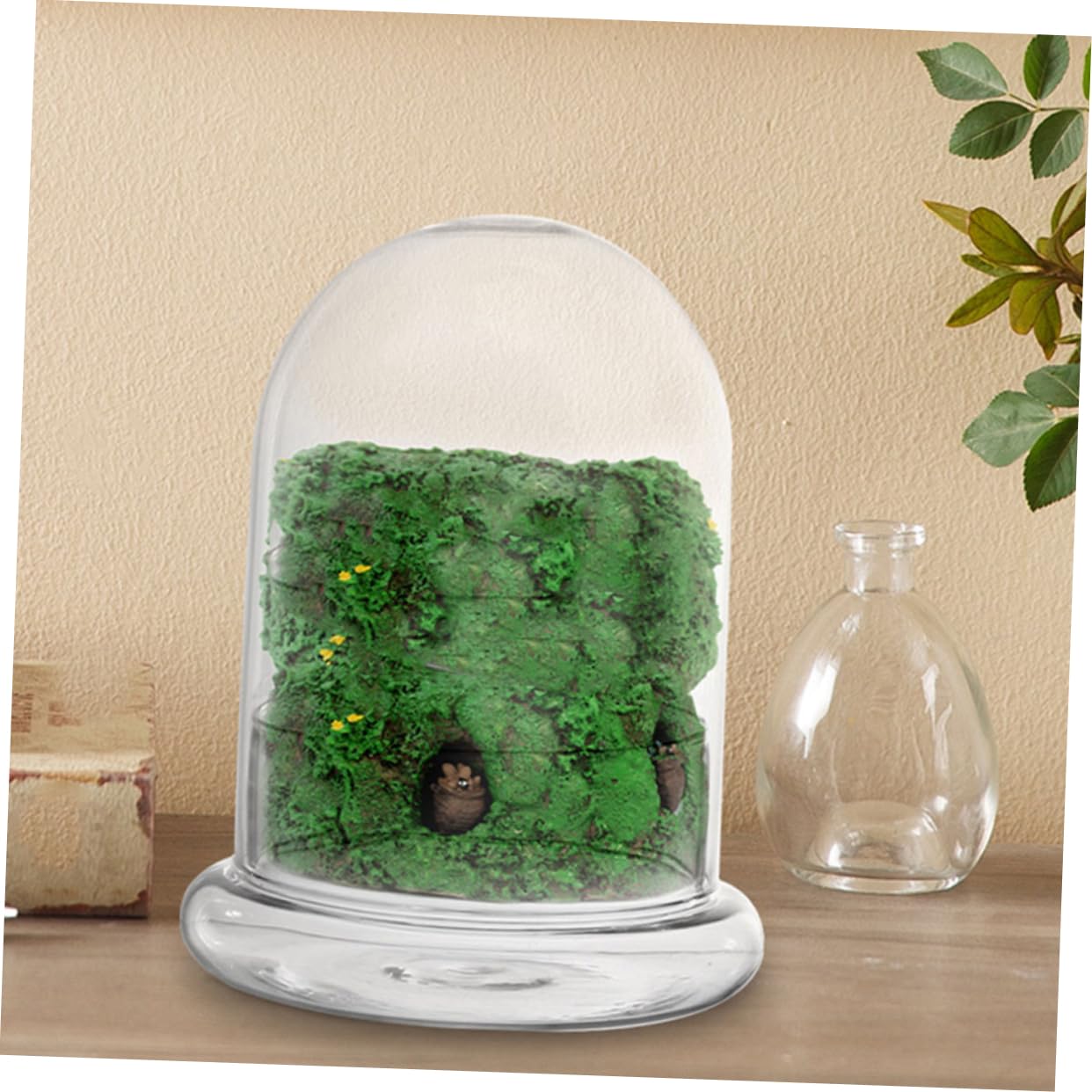Totority 2pcs Glass Ecological Terrarium Bottle for DIY Micro Landscape Display Decorative Container for Desk Plants and Miniature Gardens