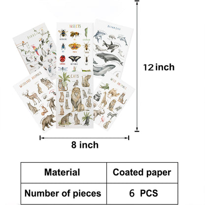 BOLNEY Set of 6 Educational Posters - Kids Wall Art: Wild Animals, Woodland Animals, Birds, Insects, Ocean Life (No Frame, 20x30cm-6pcs)