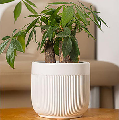Puoyikt Ceramic 5.2+6.5 inch Planters, Modern Home and Office Flowerpot, Indoor and Outdoor Flowerpot with Drainage Hole (White)