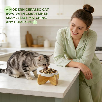 Raised Ceramic Cat Bowl 6.3" Wide Shallow Flat Bottom (1 Pack) | Neck Protective, Anti Whisker Fatigue, Anti Vomit, Dishwasher Safe, For Dry and Wet Food, For Kittens & Seniors