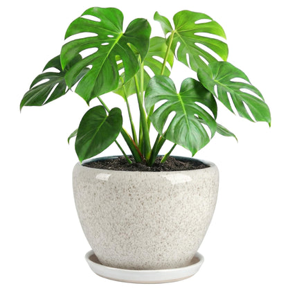 TOSELBAI 10.2 Inch Ceramic Planter with Saucer Leak-Proof Mesh &Drainage, Round Plant Pot with Gardening Gloves for Indoor Outdoor Plants