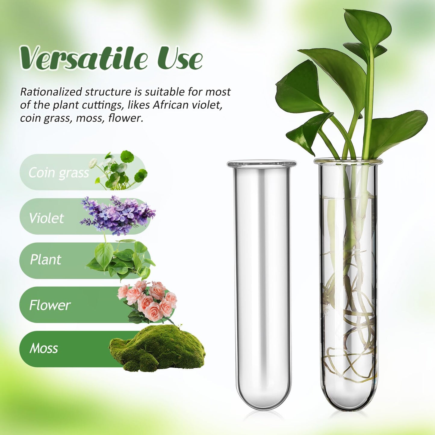 Artibetter 5pcs Glass Plant Propagation Tubes 2.5x3x11cm Test Tube Hydroponic Flower Vase for Indoor Plant Propagation and Terrarium Display