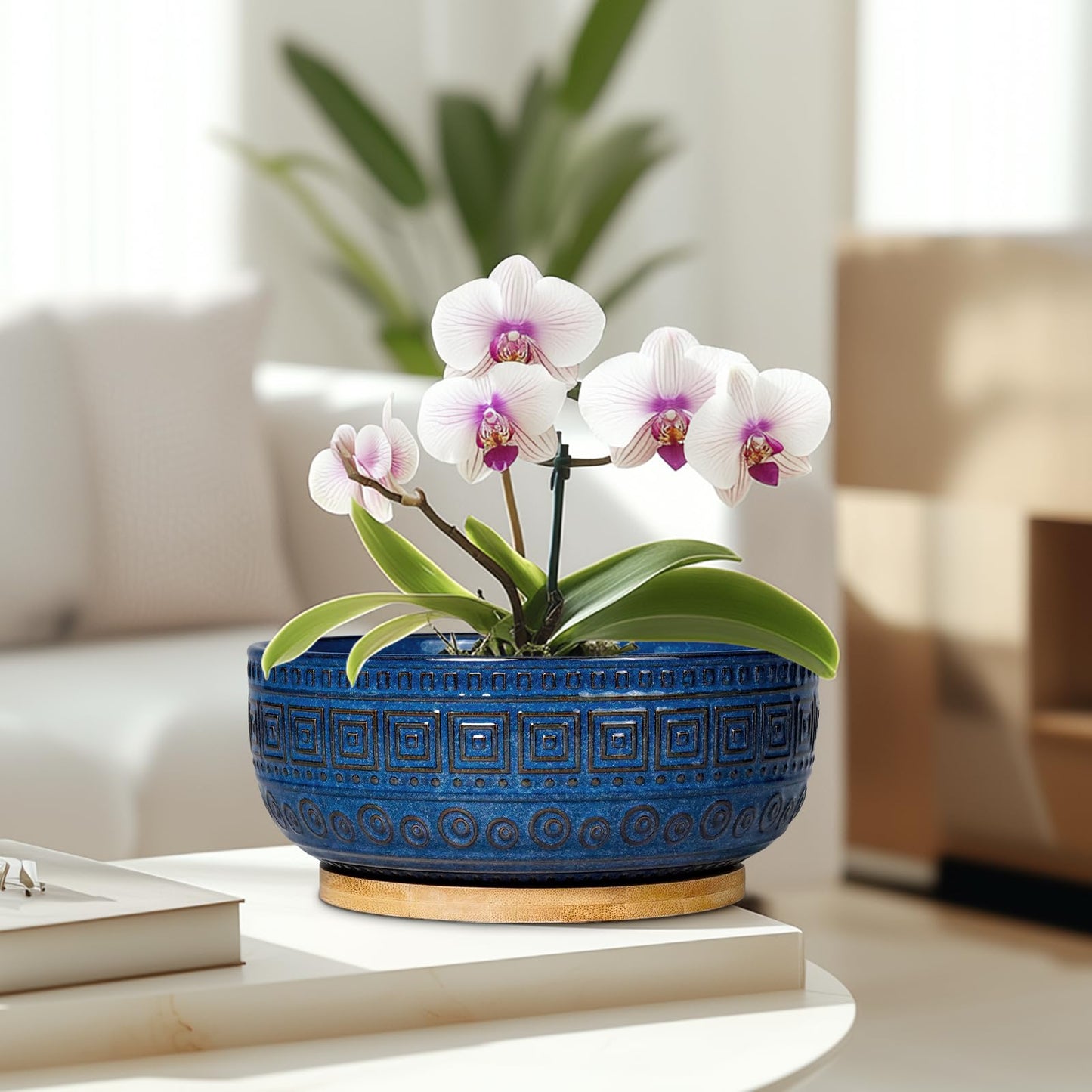 G EPGardening Bonsai Pots 8 Inch - Ceramic Succulent Pots, Round Planter for Indoor Plants, Modern Outdoor Planter with Drainage and Plant Saucer, Boho Home Decor, House Warming Gifts New Home, Blue