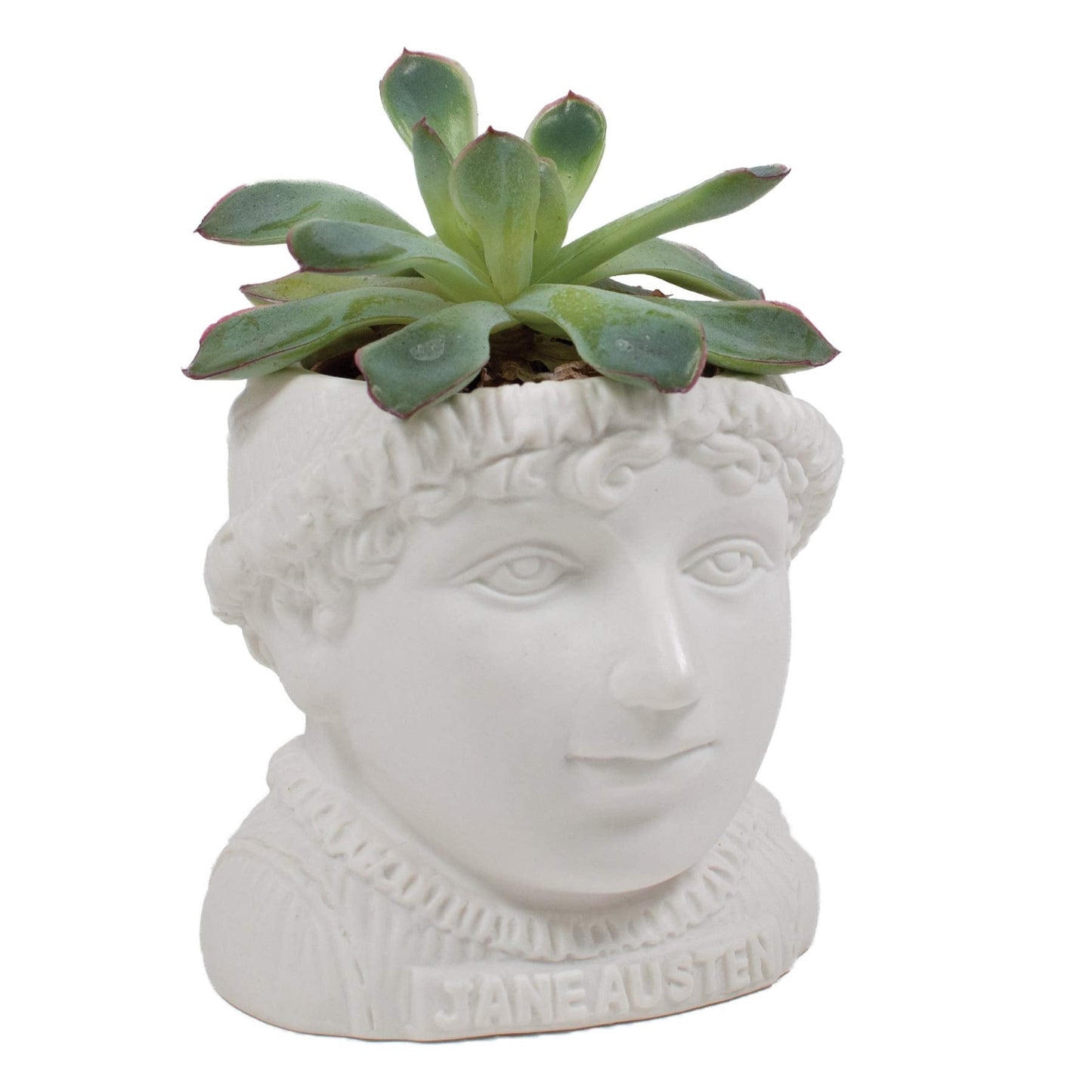 The Unemployed Philosophers Guild Jane Austen Bust Ceramic Planter