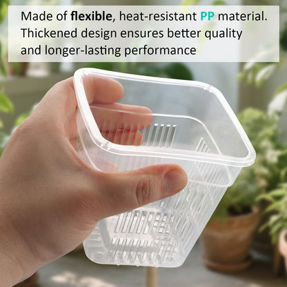 BTPLASTIK Clear Square Nursery Pots, 15 Packs 6 Inch Hydroponics Growing Square Pots, Transparent Plastic Plant Pots for Seed Starting, Root Cutting