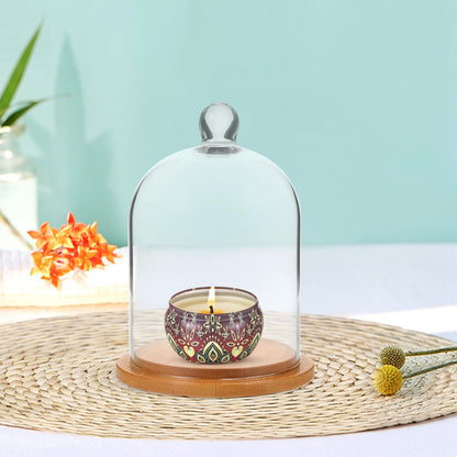POPETPOP Glass Cloche Dome Bell Jar Display Case 9"" Clear Glass – Space-Saving for Shelf or Desk Display – for Plants, Collectible Figures, Candle Decor, Terrariums