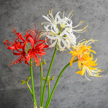 Qingriver 6 Sets 67 CM Lycoris Radiata Artificial Spider Lily Flowers Stonegarlic Clusteramaryllis for Home Garden Wedding Party Decor (Pure White)