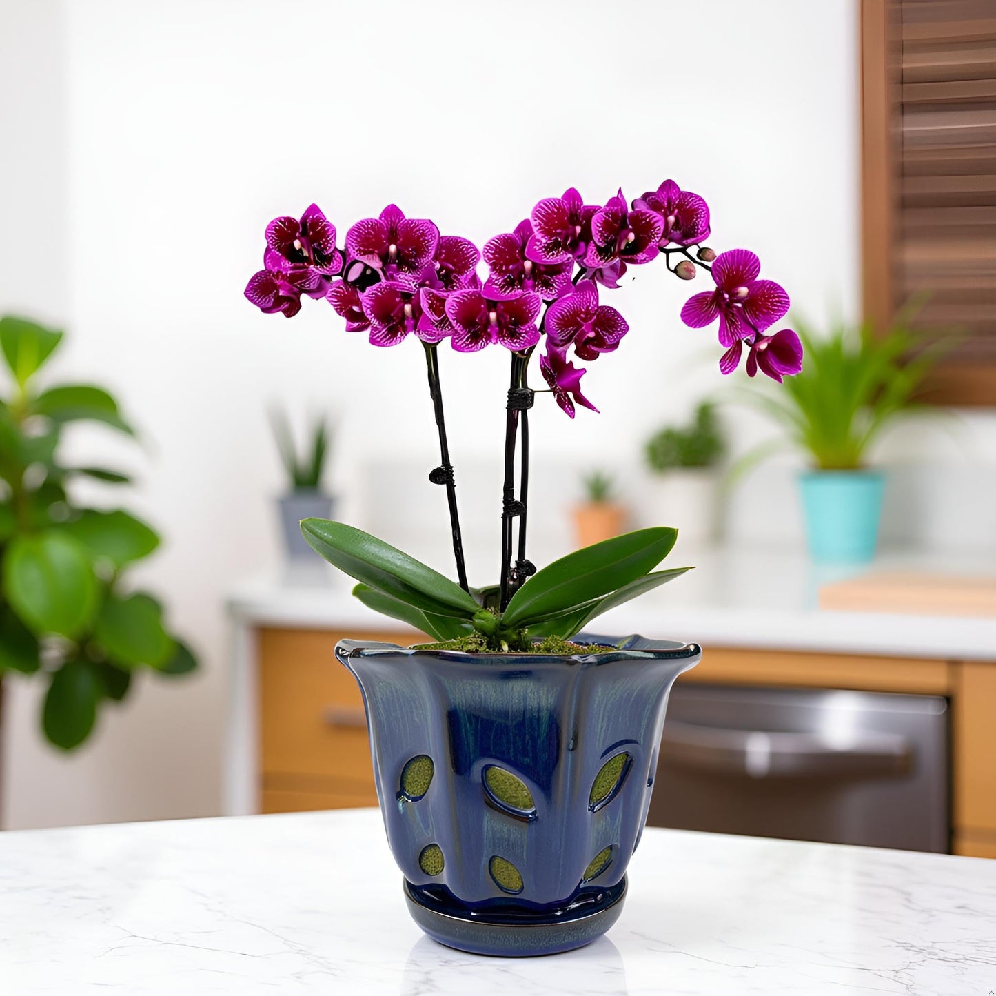 Grdthzey Ceramic Orchid Pots with Holes 6 inch (Dark Blue)