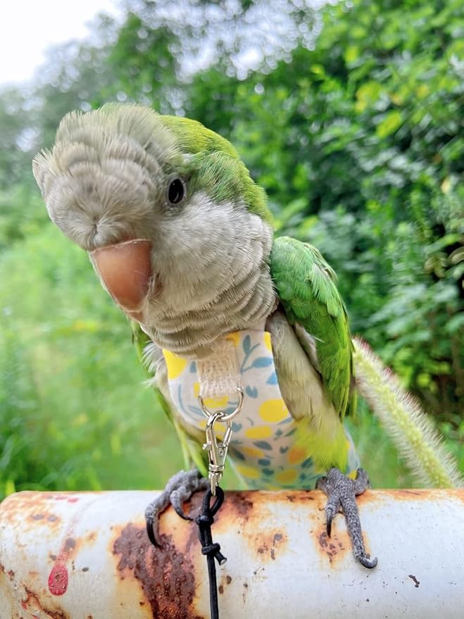 Bird Diaper Harness Flight Suit Clothes, Parrot Flight Suit with Leash, Bird Flying Clothes with Rope and Handle for Outdoor Activities Training (Yellow Without Leash,Small)