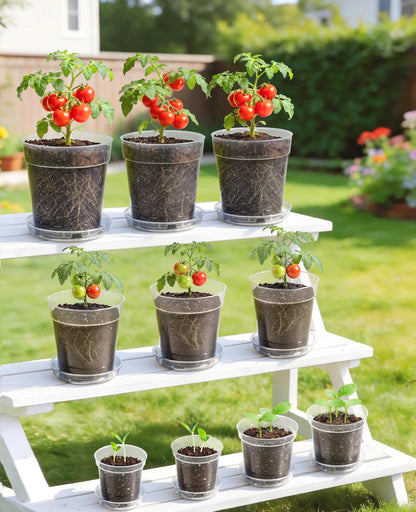 homenote 3/4/5 Inch Clear Nursery Pots 24 Pack with Drainage and Plant Saucers, Variety Pack Rigid High-Transparency Plastic Nursery Pots for Plants, Planter Nursery Pots with Upgraded Drainage Holes