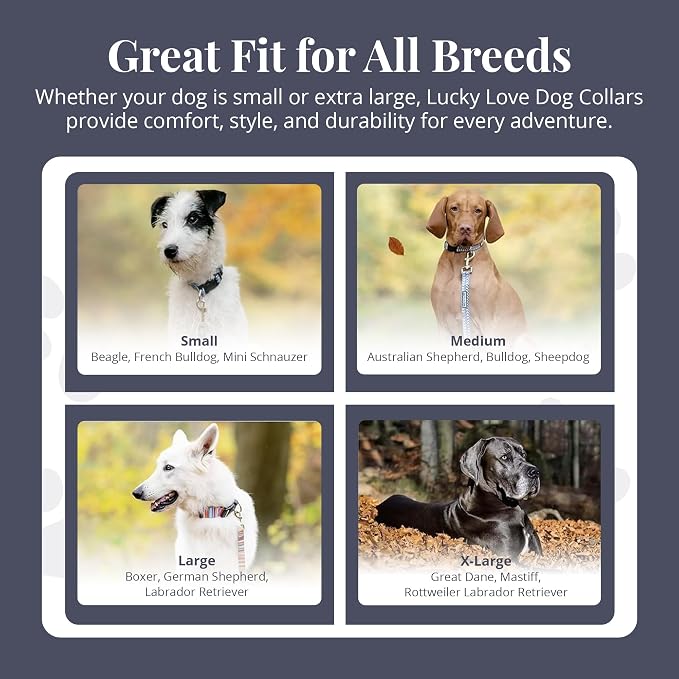 Lucky Love Dog Martingale Dog Collar - Adjustable, No-Slip, Durable, & Soft Webbing Collar for Male and Female Dogs Ideal for Training & Walking - Oscar, Large