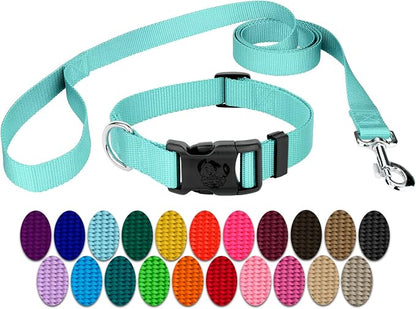 Country Brook Petz - Everyday Nylon Dog Collar and Leash - 10+ Cool Colors (1 Inch, Large, Light Cyan)