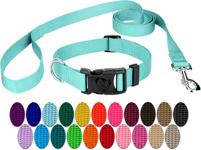 Country Brook Petz - Everyday Nylon Dog Collar and Leash - 10+ Cool Colors (3/4 Inch, Small, Light Cyan)