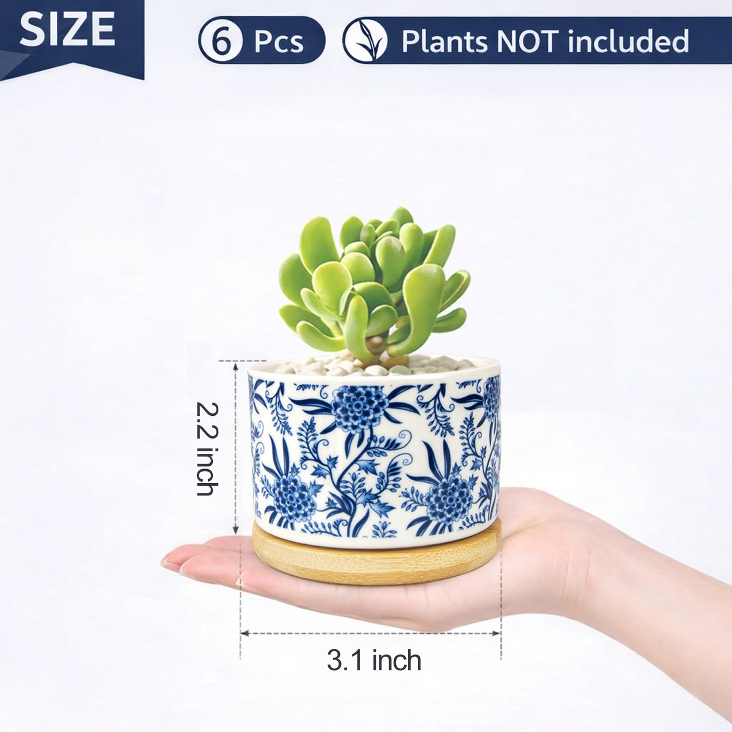 Succulent Pots, 6PCS Small Pots for Plants with Drainage & Saucers, 3.1 Inch Ceramic Flower Planters for Indoor Plants, Decorative Planters for Succulent Cactus, Home, Office, Desk