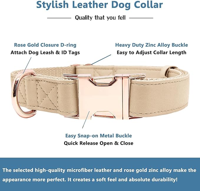 Soft Leather Dog Collar and Leash (6.6') Set - Stylish Rose Gold Heavy Duty Metal Buckle, 4 Adjustable Lengths Leash for Small Medium Large Dogs - Comfortable & Easy to Clean Beige M(13.8"-19.7")