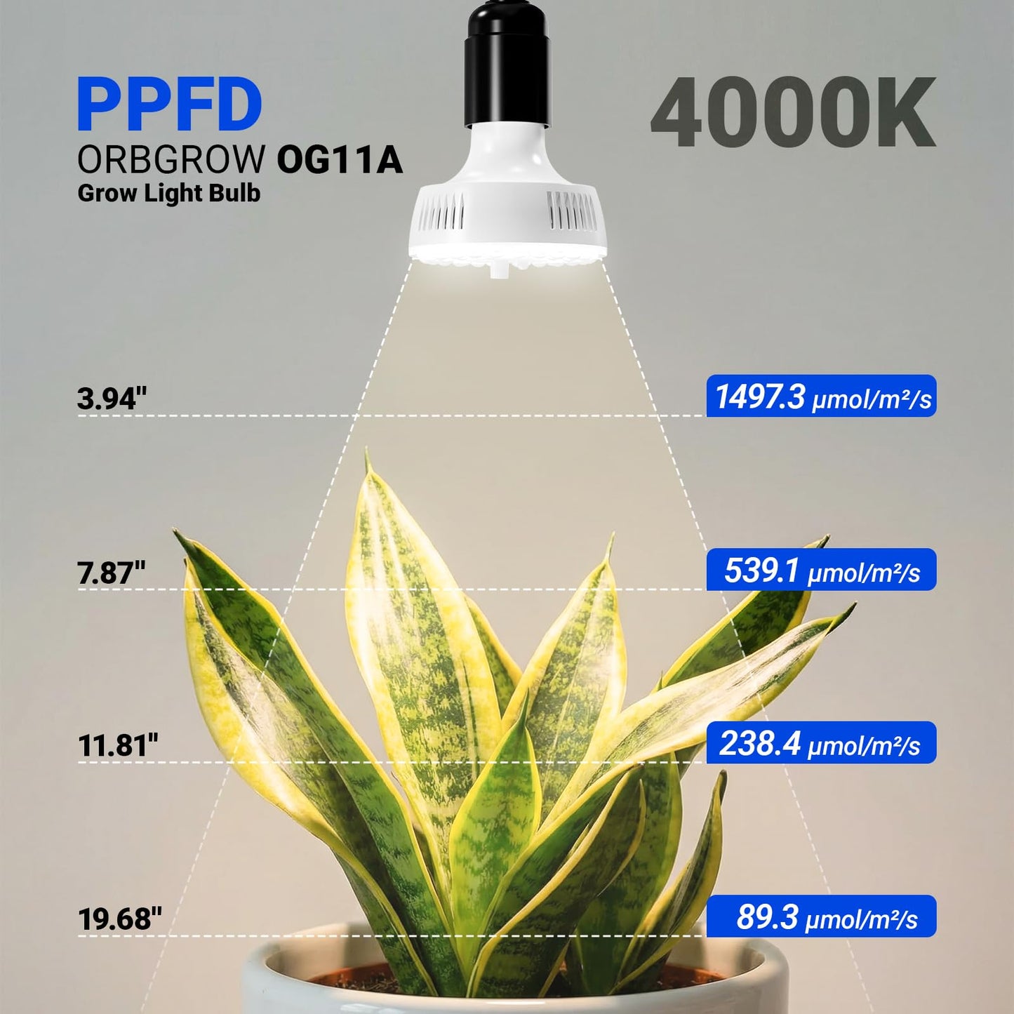 Barrina Orbgrow OG11A2 Clip On Grow Lights for Indoor Plants, Integrated Stepless Dimming & Timing, 4000K 22W(2 x 11W, 200 Watt Equiv), Full Spectrum 2-Gooseneck with E26 Plant Light Bulbs