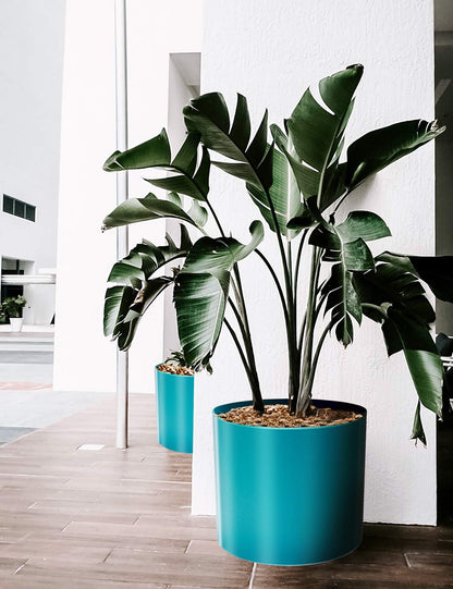 AISHN Plastic Planters, 8/10 Inch Plant Pot, Outdoor Modern Decorative Plastic Pots with Drainage Hole for House Plants, Succulents, Flowers, and Cactus.(Blue)