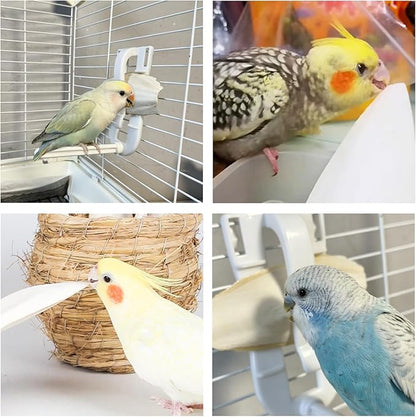 3.5"-4" Cuttlebone for Birds,Parakeets Cuddle Bone Beak Trimming,Premium Calcium Natural Cuttlefish Bone for Parrot,Cockatiel,Budgie,Tortoise, Snails,Reptiles,12 Pcs