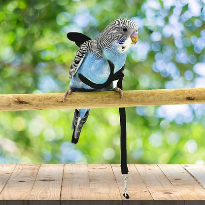 Birds Harness Leash Outdoor Flying Escape-Proof Adjustable Training Design Anti-Bite Bird Rope with Cute Wing for Parrots Scarlet Keck Mini Macaw Love Birds (Black)