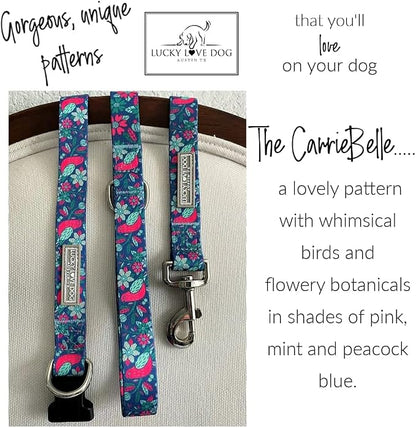 Lucky Love Dog - Easy Click Buckle Dog Collar with Leash Set Combo, Durable & Comfortable for Male & Female Dogs, Pet Collar for Medium Dogs, Secure Fit - Carriebelle Martingale Combo, Medium