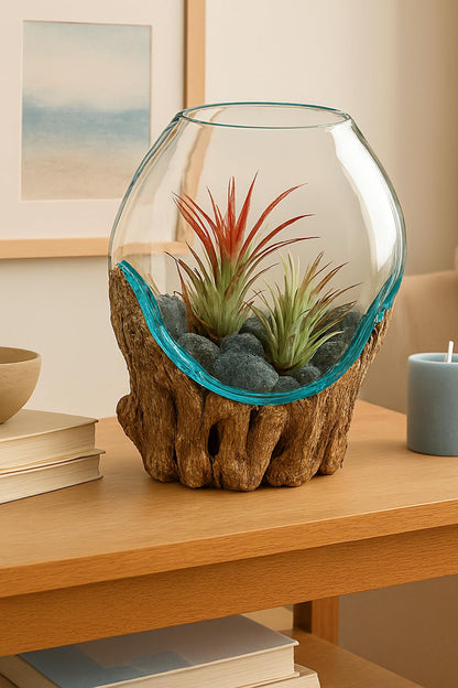 OMA Molten Glass on Driftwood – Hand-Blown Melted Glass Vase, Terrarium, or Planter for Coastal & Boho Home Décor (6"–7" High)
