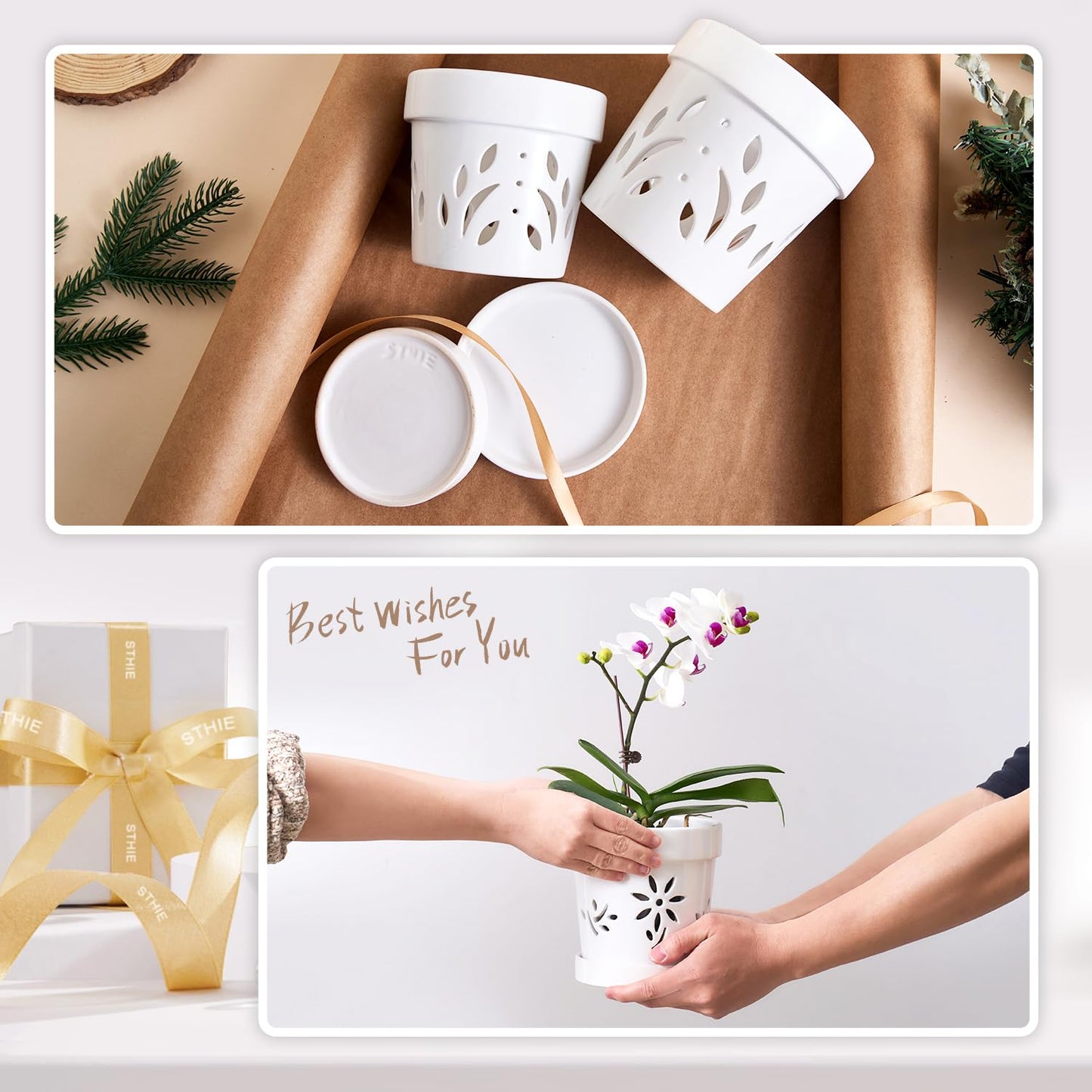 STHIE Orchid Pots, 5 + 6 Inch Ceramic Orchid Pots with Holes, Orchids Planter for Repotting, 2 Pack Promoting Air Circulation, White Flower Pots with Removable Trays
