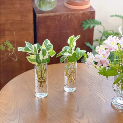 Glass Vase Vase 3Pack Wall Hanging Glass Planters Plant Terrarium Plants Holders Air Plants Wall Vase with Plastic Invisible Traceless Hangers(3Pcs Small)