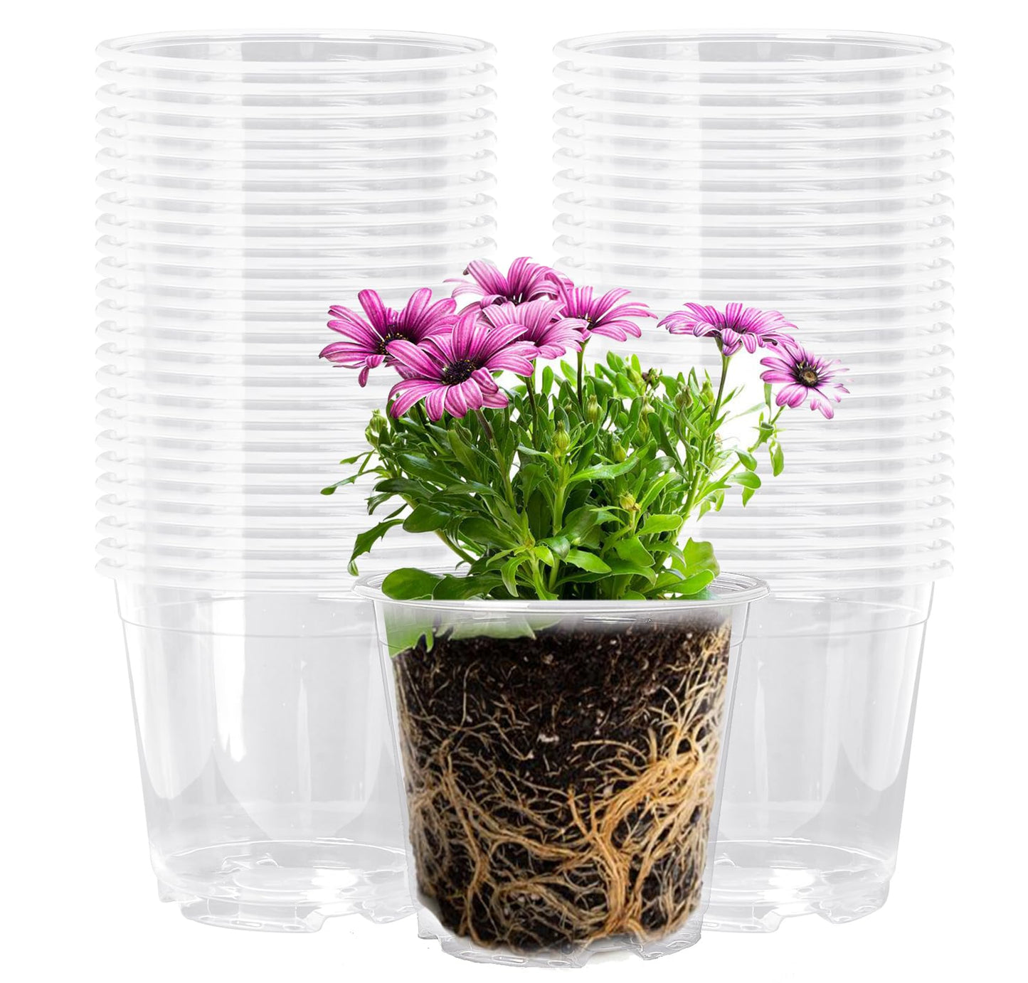 Oubest 50Pcs Clear Nursery Plastic Pots for Plants Orchid Potting 5 Inch Seedling with Drainage Holes Indoor Outdoor Flower Seedlings Succulent Vegetable Herb
