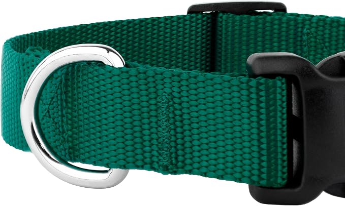Country Brook Petz - Everyday Nylon Dog Collar and Leash - 10+ Cool Colors (3/4 Inch, Medium, Green)