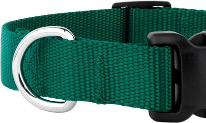 Country Brook Petz - Everyday Nylon Dog Collar and Leash - 10+ Cool Colors (3/4 Inch, Medium, Green)