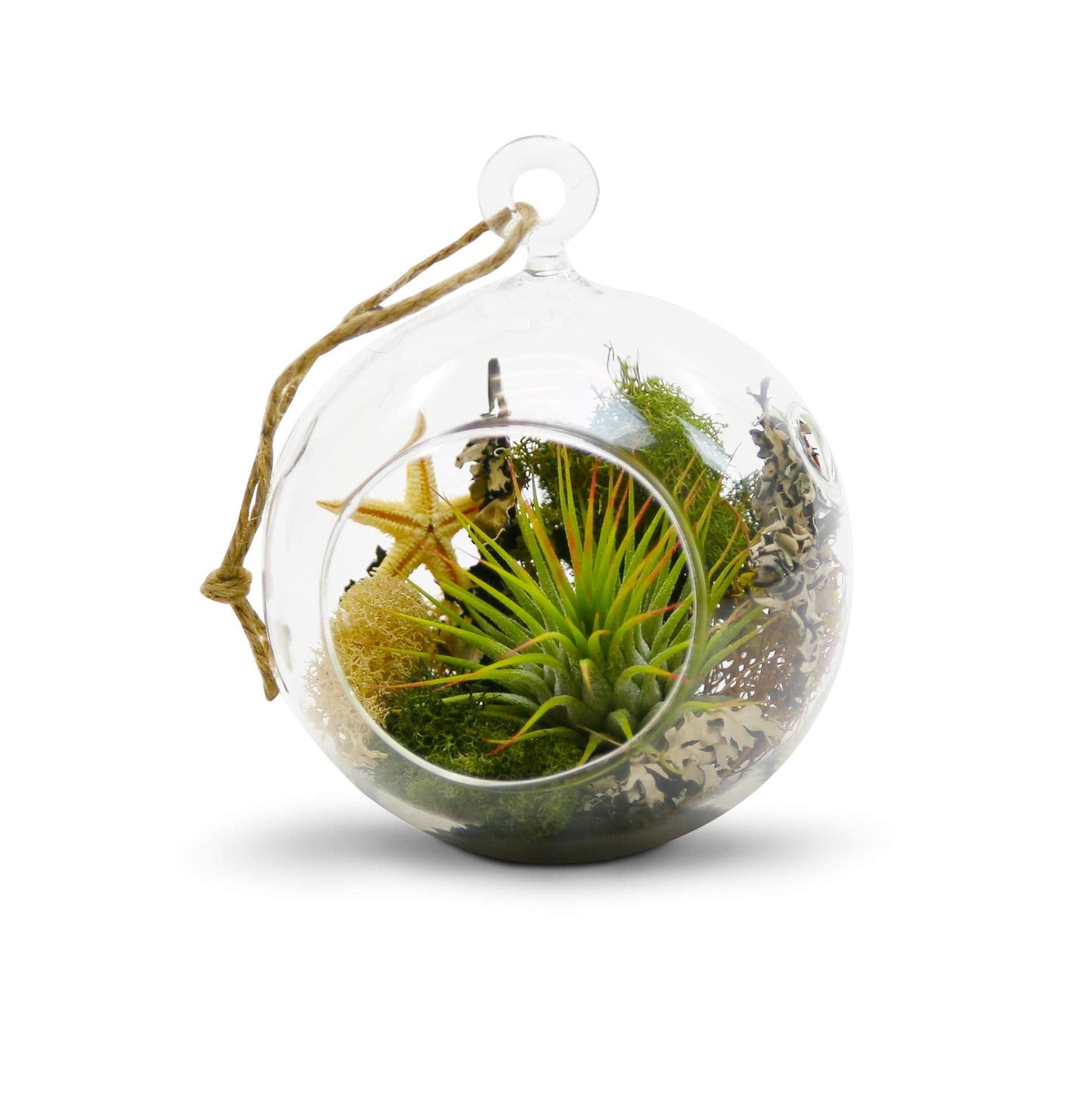 WGV Hanging Terrarium Globe, Width 4", Height 4.75", DIY Air Succulent Planter, Clear Glass Vase Orb with Flat Bottom, Candle Holder for Windowsill Outdoor Garden Decor, 3 Pieces Bulk