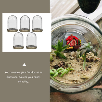 ARTIBETTER Glass Terrarium Dome and Brass Tray Set for DIY Microlandscape Plant Display Miniature Ecological Container Covers for Home Decor and Craft Supplies
