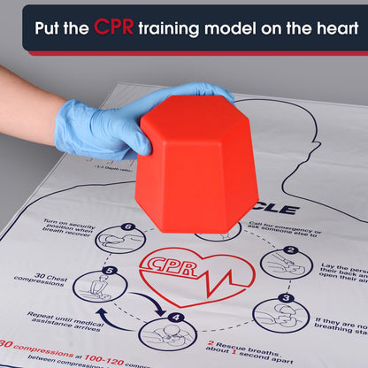 SimCoach CPR Training Model, Hands-only CPR Training Aid Kit, CPR Compression First Aid Training Tool for Nursing Students