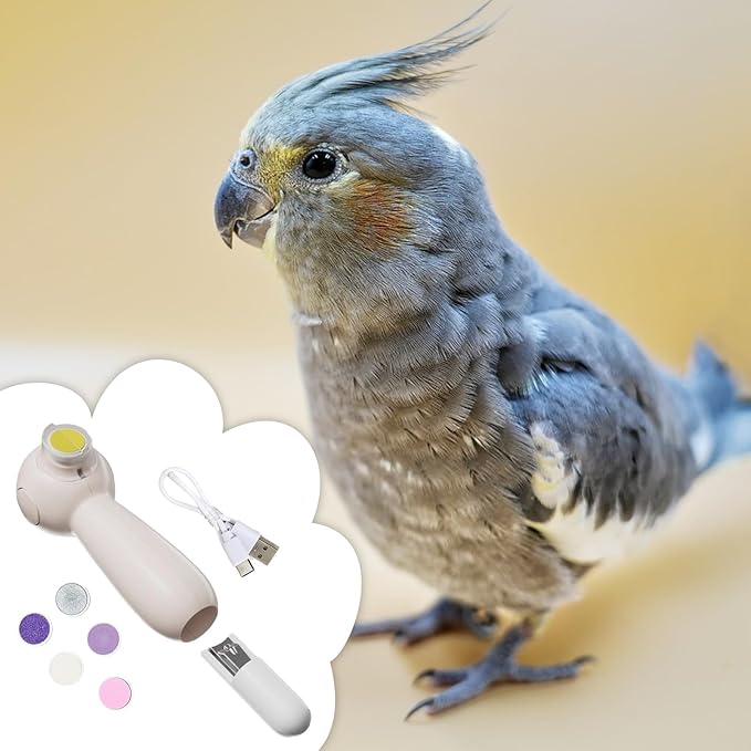 Bird Nail Grinder, Electric Parrot Beak Trimmer, 6 Grinding Heads Tool, 5.12x3.15x1.97 Inches Low Noise Rotary File, 1 Set White Usb Rechargeable, Bird Care for Cockatiel Hamster Small Pet Grooming
