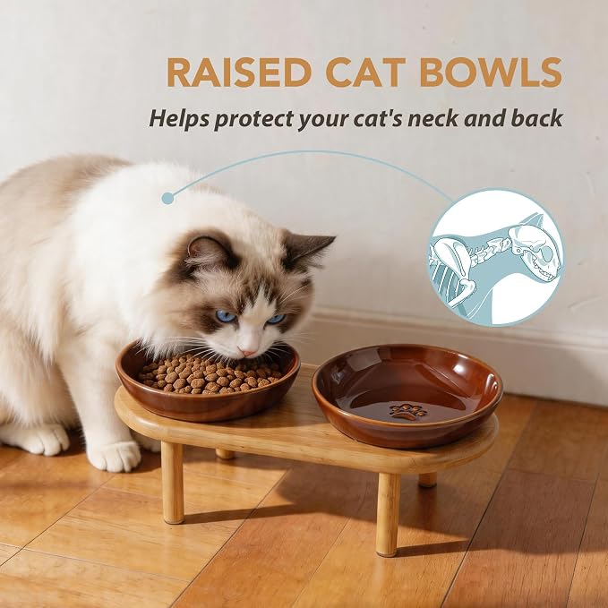 Havniva Elevated Cat Bowls Raised Ceramic Cat Bowl, 5.7” Wide Opening Cat Food Bowl Whisker Friendly Cat Dish Anti-Slip with Bamboo Stand, Shallow Pet Food & Water Bowl for Indoor Cats