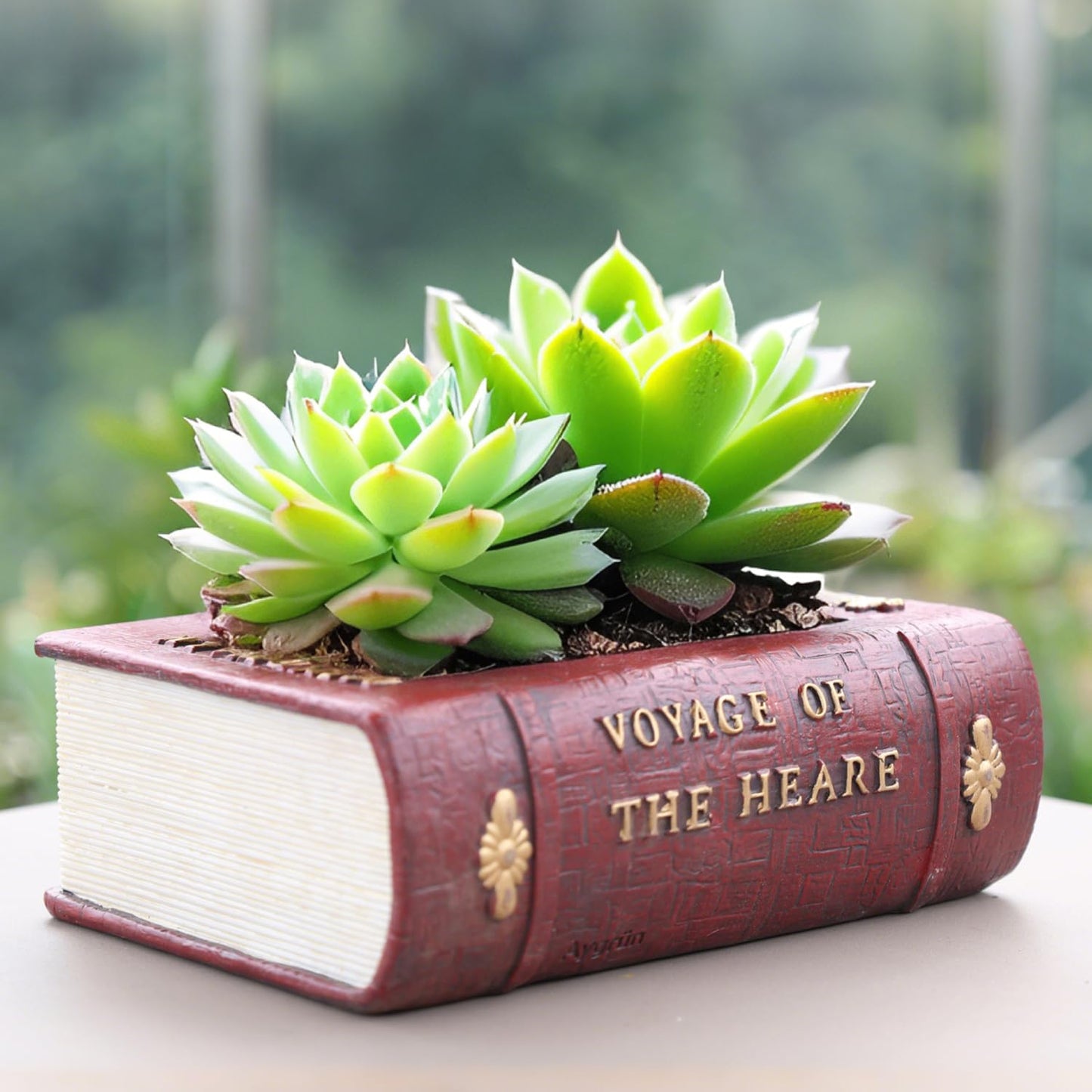 Aygrün Succulent Pots Book Shaped Planter - Cute Resin Flower Pot Bookshelf Decor Creative for Sempervivum with Drainage, Gift for Women, Man, Office, Indoor Plants, Book Lovers, 7.0″x5.0″x2.3″